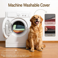 Comfort Expression Orthopedic XL Dog Bed for Large and Extra Large - Mint Fiesta / 42"L x 30"W x 7.5"Th - image 2
