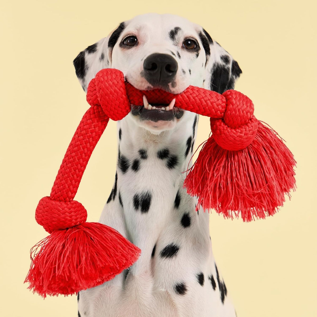 Playology Tug Rope Dog Toys for Large Dogs, Peanut Butter Scent - Jumbo / Beef - image 3