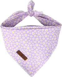 Lionet Paws Spring Daisy Dog Bandana Washable Cotton Handkerchief - Purple Daisy / Large (Pack of 1)