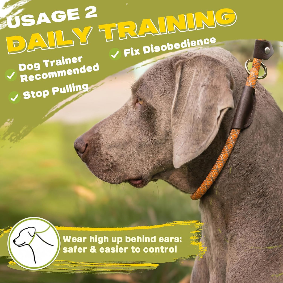 Fida Durable Slip Lead Dog Leash - 4ft - Large (1/2") / Orange - image 2