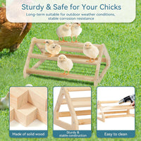 PETSFIT Baby Chick Roosting Bar, Anti-Rotation, Solid Wood - 14.4"L×10.6"W×6.7"H / Basic - image 4