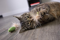 Petlinks (3 Count) 3 Blind Mice Catnip Cat Toys - Randomly Selected Color, 3 Count