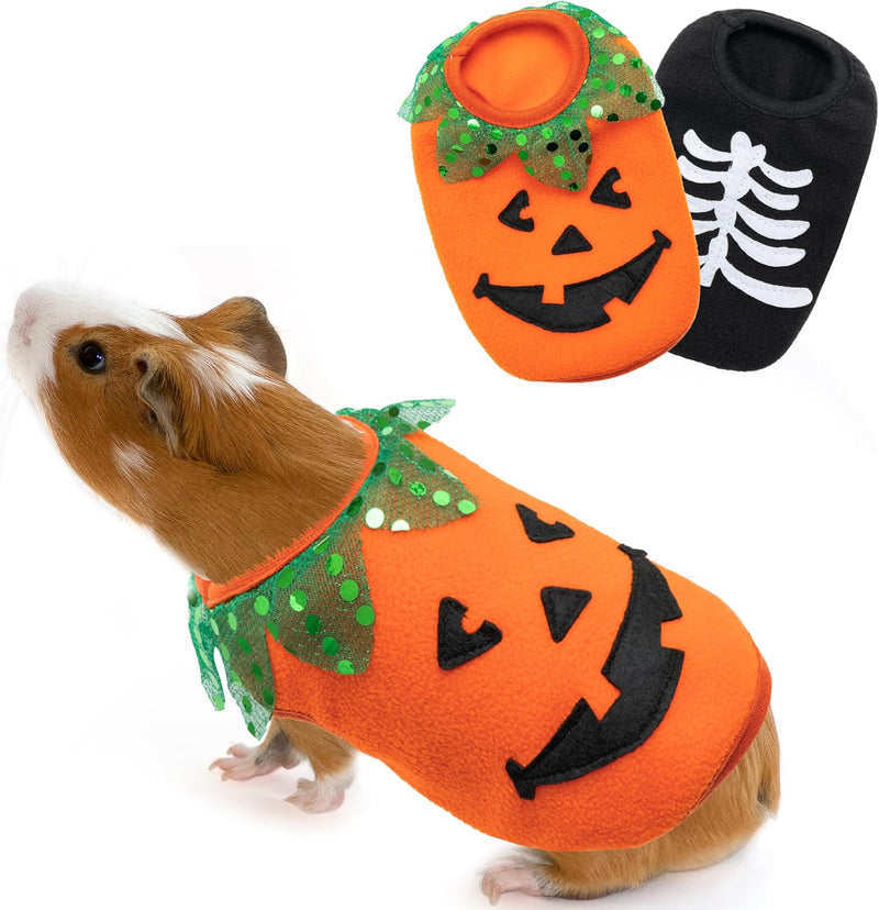 Halloween Guinea Pig Clothes - Orange and Black / XXXS
