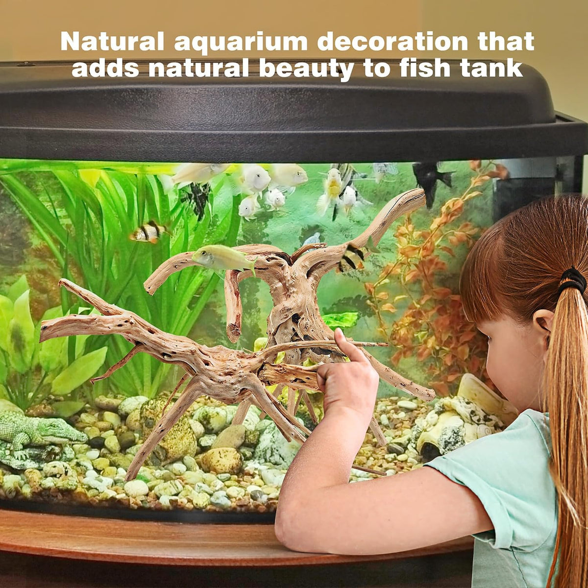 WDEFUN 3 PCS Natural Driftwood for Aquarium Decor Fish Tank - Spiderwood （11-14 inch pack of 2） - image 3