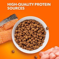 IAMS Proactive Health Adult Healthy Dry Cat Food with Real Salmon, 3.5 lb. Bag