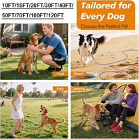 Tresbro 70 FT Dog Tie Out Cable with Spring, Shock Absorbing Tether Chains for Outside Aavilable in 10/15/20/25/30/40/50/70/100/120 FT, Heavy Duty Leads for Yard for Medium & Large Dogs Up to 500 LBS