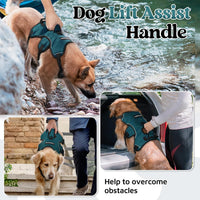 rabbitgoo Escape Proof Dog Harness for Large - Dark Green / Medium - image 4