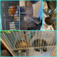 Parrot Feeding Dish Cups,Stainless Steel Bird Food Water Bowl Parakeet Feeder Birds Cage Ball Toys - 【2 PCS】 / 【M:4.7x2.2 Inches】 - image 2