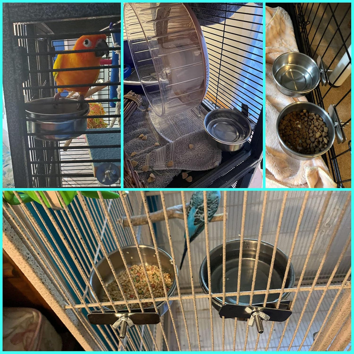 Parrot Feeding Dish Cups,Stainless Steel Bird Food Water Bowl Parakeet Feeder Birds Cage Ball Toys - 【2 PCS】 / 【M:4.7x2.2 Inches】 - image 2