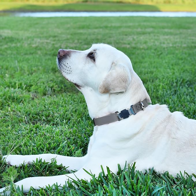 Dogline Biothane Waterproof Dog Collar with Herm Sprenger Black Stainless Steel Quick Release Buckle – Heavy Duty Tactical Durable Collar for Dogs – Comfortable and Safe Pet Collar W 1" L 15-25" Gray