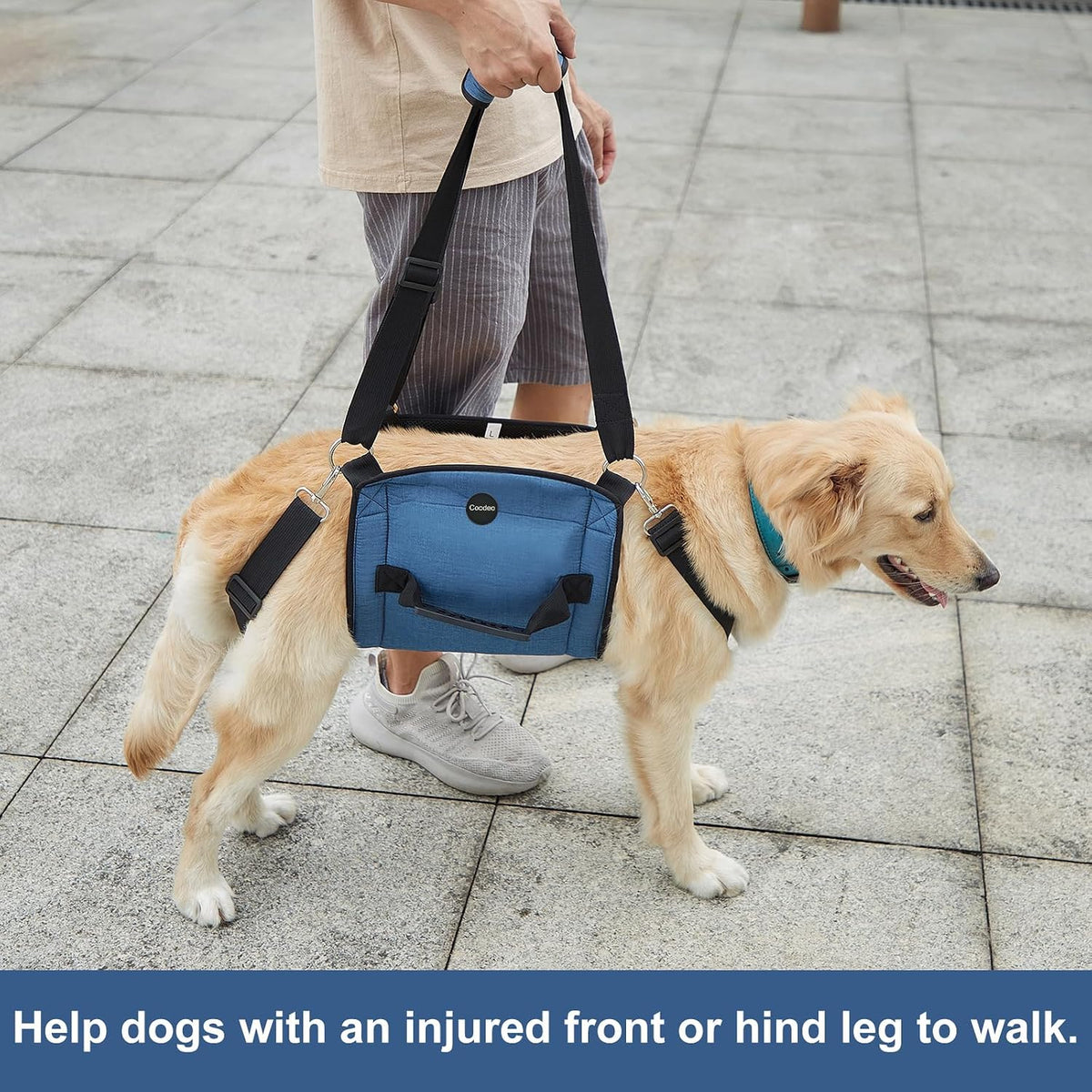 COODEO Dog Carry Sling, Emergency Backpack Pet Legs Support & Rehabilitation Dog Lift Harness - Blue / X-Large - image 4