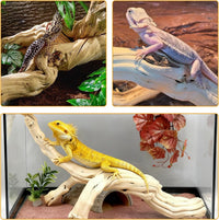VCEPJH Snake Climbing Branch - Panlong Wood (XL:15"-17.7"-1pcs) / 1 - image 3