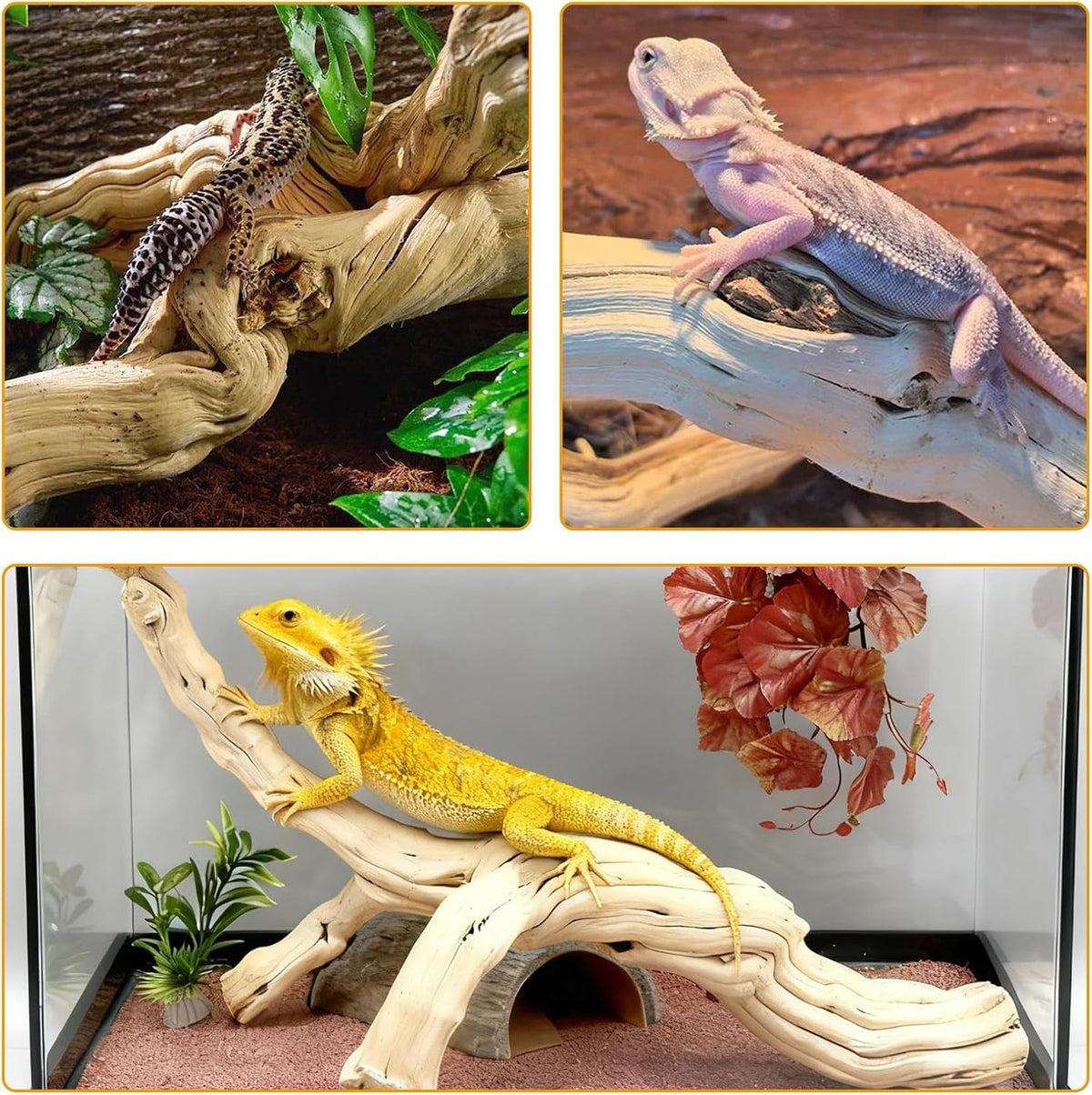 VCEPJH Snake Climbing Branch - Panlong Wood (XL:15"-17.7"-1pcs) / 1 - image 3
