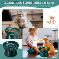 Tioncy 2 Pcs Ceramic Elevated Slow Feeder Cat Bowl - Dark Green / 1 - image 3