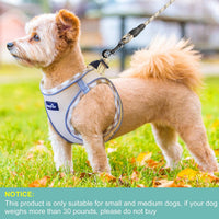 haapaw Dog Harness with Leash Set - XL / Beige - image 4
