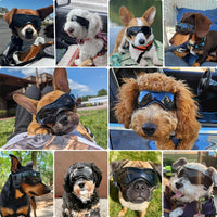 Dog Goggles Small Breed, Dog Sunglasses UV Protection Puppy Eyewear for Small Pet Outdoor Riding - Medium / Black - image 2