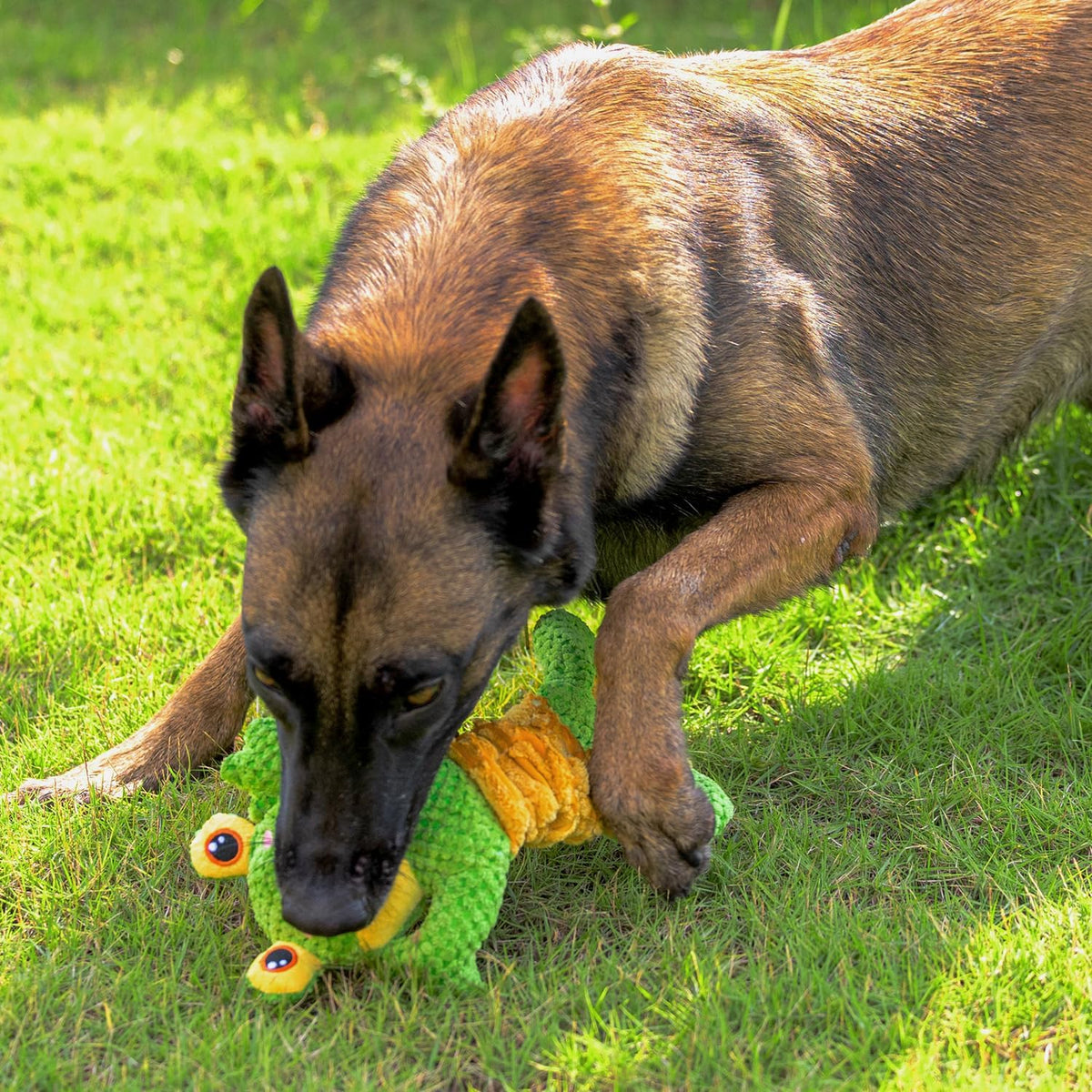 Tug of War Dog Toy, Crinkle Dog Toys for Large Dog - Frog - image 4