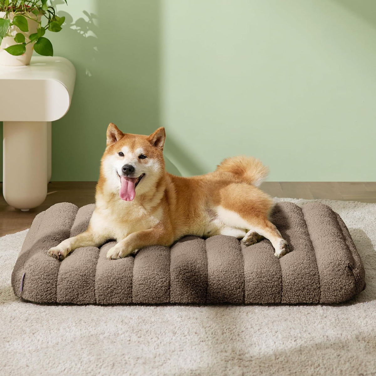 LE SURE Cute Orthopedic Dog Bed Large Sized Dog, Flat Pet Mat - 30"L x 20"W x 4"Th / Brown - image 2