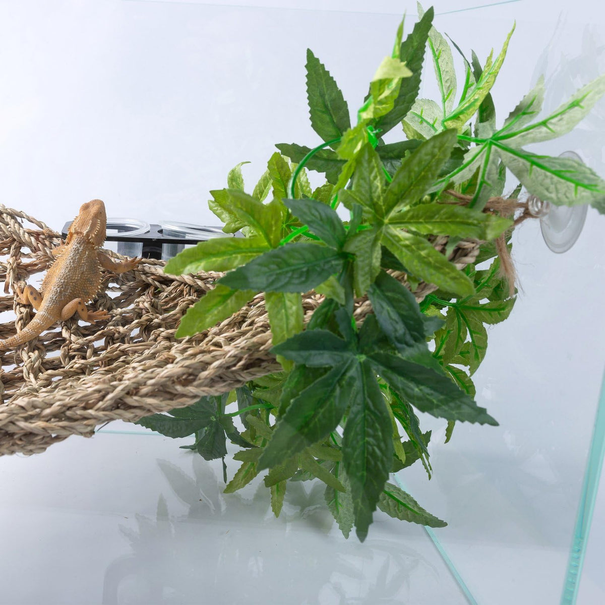 SLSON Reptile Plants Hanging Silk Terrarium Plants with Suction Cup - image 2