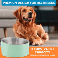 Master Pet Supply Stainless Steel Slanted Dog Cat Food Bowl 24 oz - Pistachio / 3 Cups (24 oz) - image 4