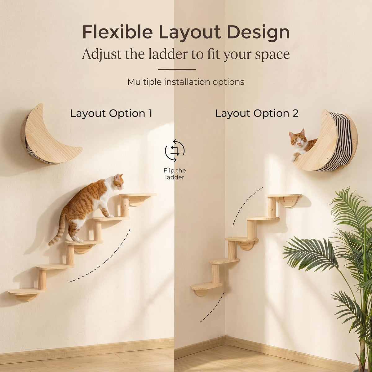 Cat Wall Shelves Set, Solid Wood Moon Bed - moon bed with 5-level stairs - image 3