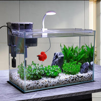 Vimvins 5 Gallon Glass Small Fish Tank with Filter Light and Lid - 5 Gallon - image 4