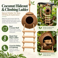 HERCOCCI Crested Gecko Tank Accessories - image 2