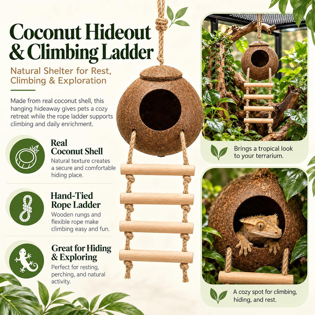 HERCOCCI Crested Gecko Tank Accessories - image 2