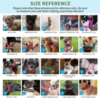 Lukovee Small Dog Harness and Leash Set, No Pull Soft Padded, XS - Fuchsia - with Stripe / XS ( Chest 14'' ~ 18'') - image 4