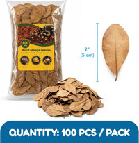 SunGrow 50 Pack Leaf Litter for Spider, Cricket & Isopod - Mini - 100Pcs - image 2
