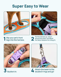 Upgraded Cat Harness and Leash Set - Blue Butterfly Magic / L - image 2
