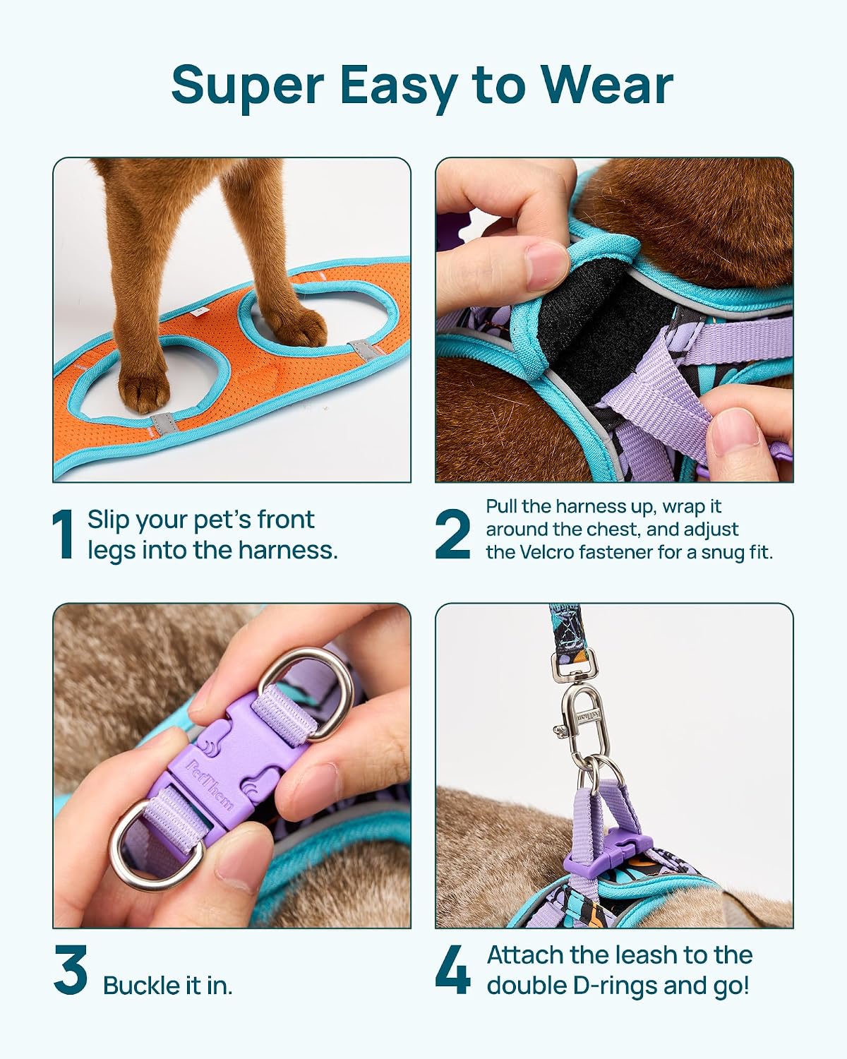 Upgraded Cat Harness and Leash Set - Blue Butterfly Magic / L - image 2