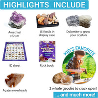 DANCING BEAR Rock, Mineral & Geodes Treasure Hunt Activity Kit Real Shark Teeth Fossils, ID Sheet - image 4