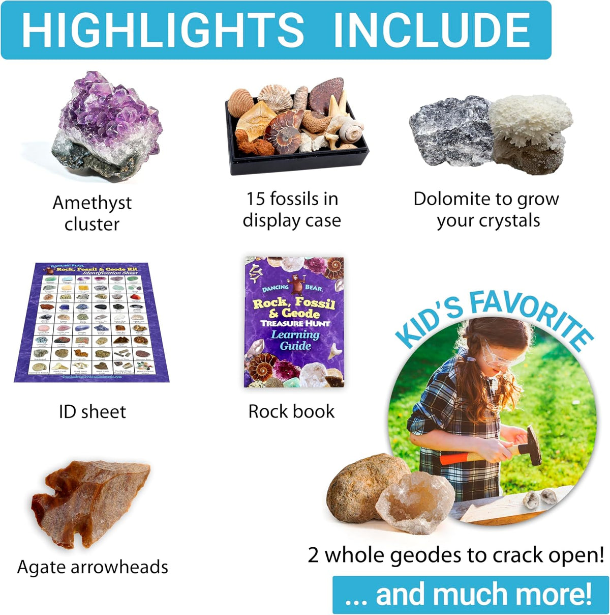 DANCING BEAR Rock, Mineral & Geodes Treasure Hunt Activity Kit Real Shark Teeth Fossils, ID Sheet - image 4