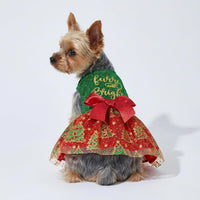 Fitwarm Birthday Girl Dog Tulle Dress - X-Small / Furry and Bright - image 2