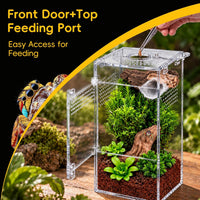 Jumping Spider Enclosure Starter Kit - Clear / Small - image 3