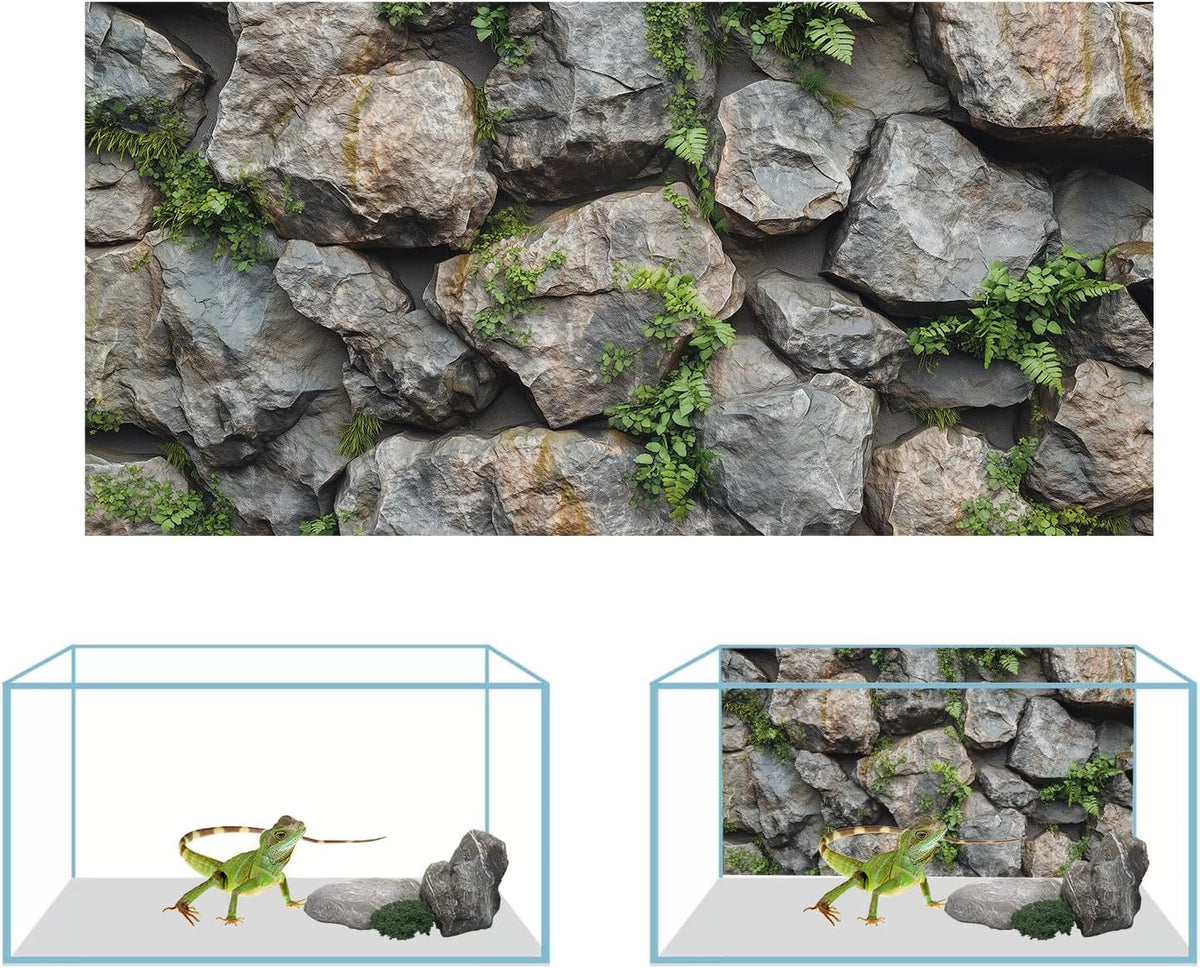 3 PCS Terrarium Background - 36x18 Inch - image 3