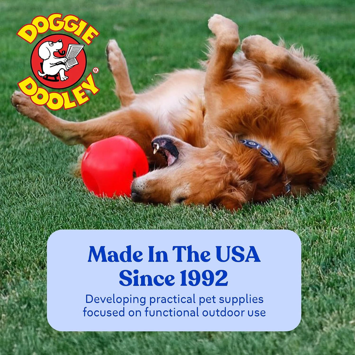 Doggie Dooley Virtually Indestructible Dog Ball - Assorted / X-Large (14 inch) - image 4