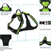 Blue No-Pull Dog Harness with 2 Leash Clips，Soft Padded Vest - X-Large / Green - image 2