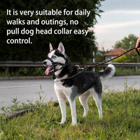 Dog Head Collar, Head Collar with Reflective Strap to Stop Pulling for Small Medium and Large Dogs - M / Orange - image 4