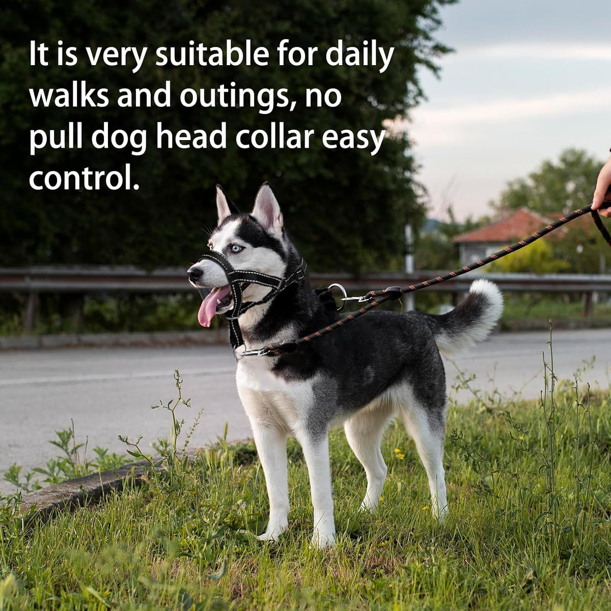 Dog Head Collar, Head Collar with Reflective Strap to Stop Pulling for Small Medium and Large Dogs - M / Orange - image 4