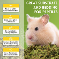 8 OZ Natural Sphagnum Moss for Reptiles - 60QT(2.6lb) - image 3