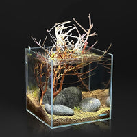 LANDEN Taiji Stone Natural Rocks(18lbs, 2~9 inches,6pcs) for Aquascape and Bonsai, Aquarium, Paludarium, Fish Tank Decoration Rocks, Landscaping Model Stone