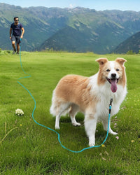 Joytale Long Dog Leash for Yard Tie Out & Recall Training - Blue / 50FT - image 2