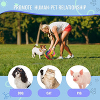 Pet Snuffle Ball, Puzzle Sniffing Interactive Dog Ball for Blind Dogs Training Stress Relief Dog Enrichment Toys Treat Machine Washable (15cm, New Rainbow Color)