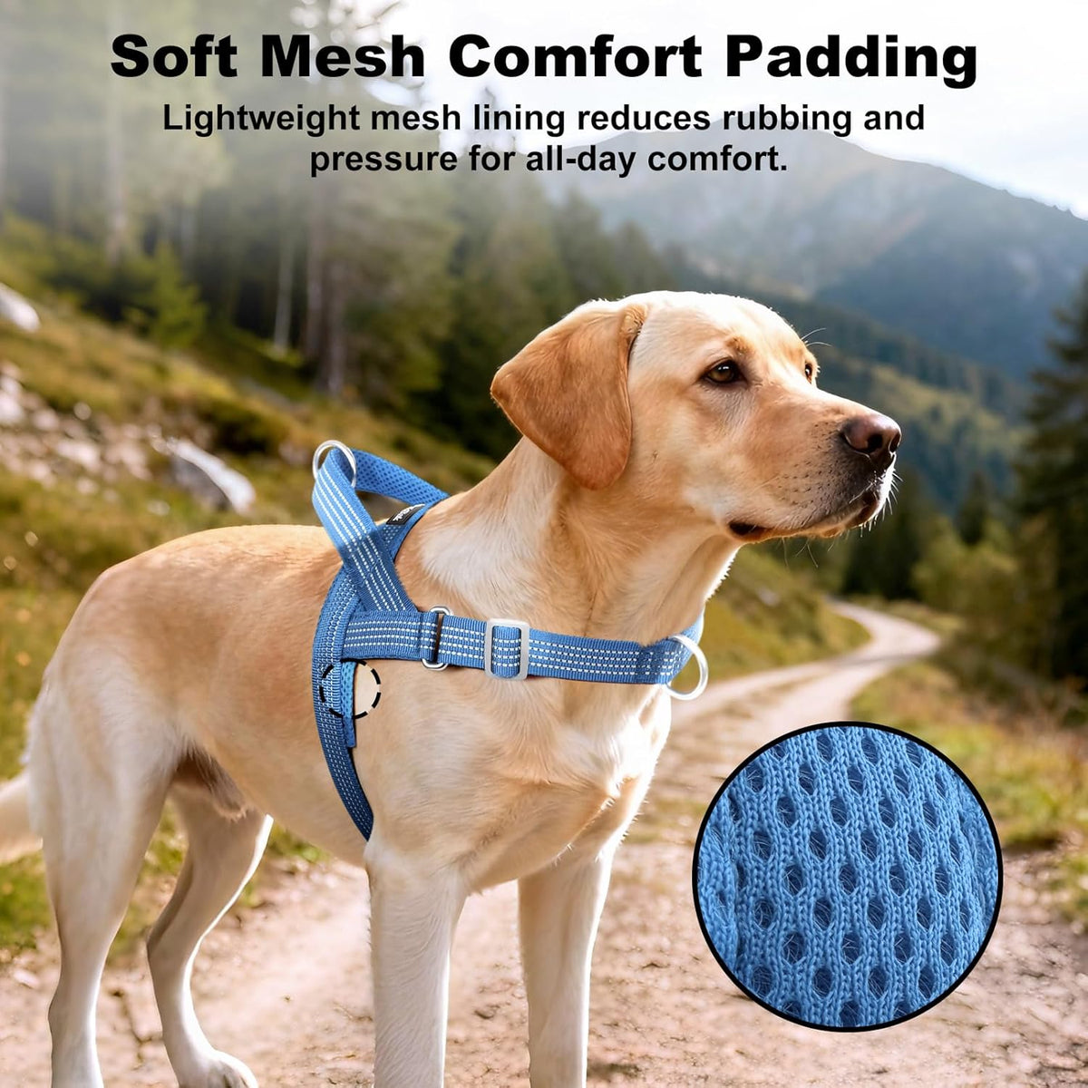 No Pull Dog Harness with Handle - Blue / S - image 4