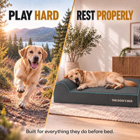 The Dog’s Bed Orthopedic Memory Foam Dog Bed with Headrest XL 6-Inch – Essentials for Dogs - Grey with Blue Trim / L (40"L x 25"W x 6"Th) - image 2