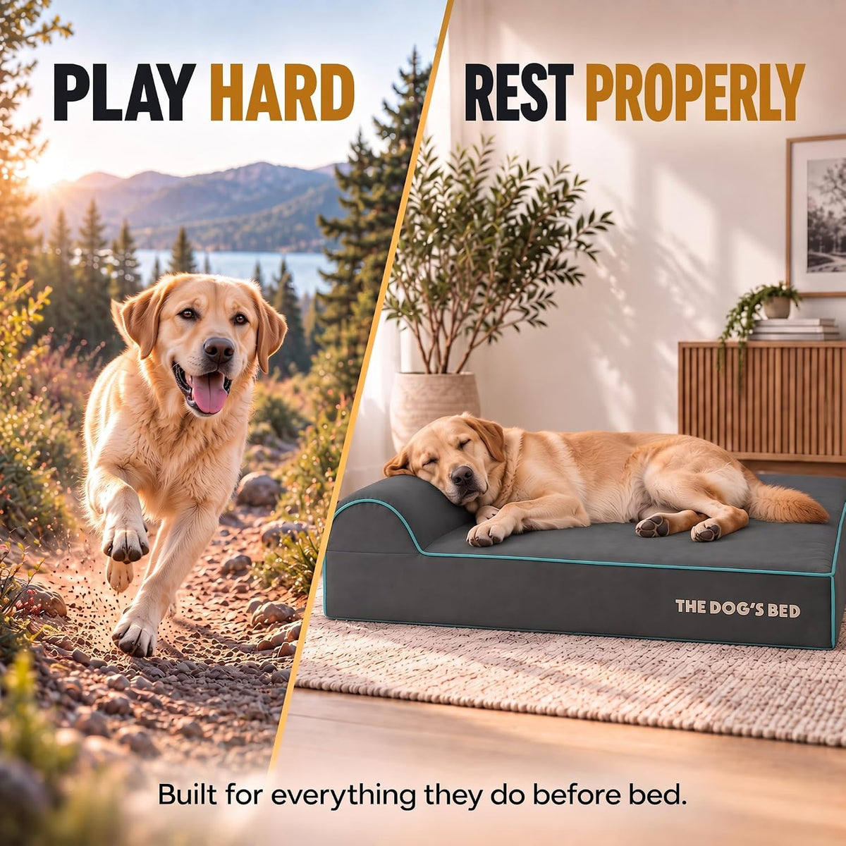 The Dog’s Bed Orthopedic Memory Foam Dog Bed with Headrest XL 6-Inch – Essentials for Dogs - Grey with Blue Trim / L (40"L x 25"W x 6"Th) - image 2