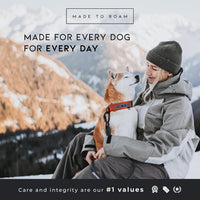 MADE TO ROAM Premium Everyday Dog Collar - Colorado Nightsky / Size 10 - image 4