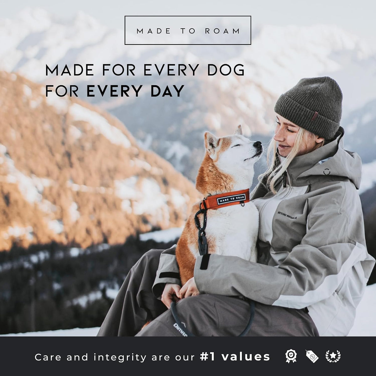MADE TO ROAM Premium Everyday Dog Collar - Colorado Nightsky / Size 10 - image 4